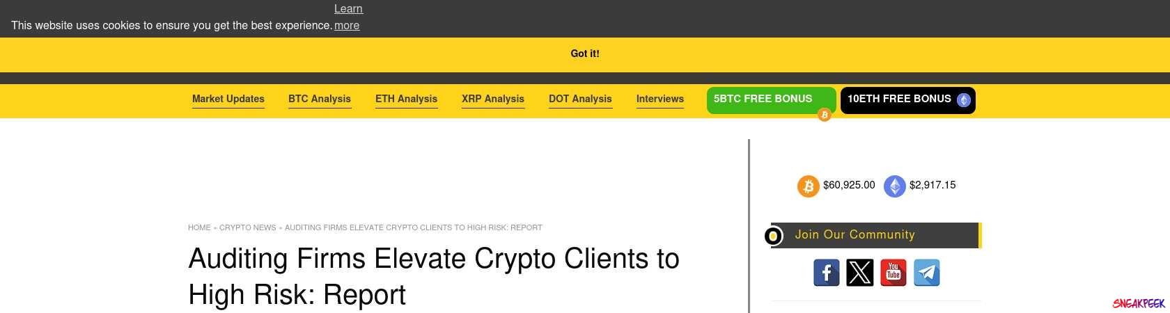 Read the full Article:  ⭲ Auditing Firms Elevate Crypto Clients to High Risk: Report