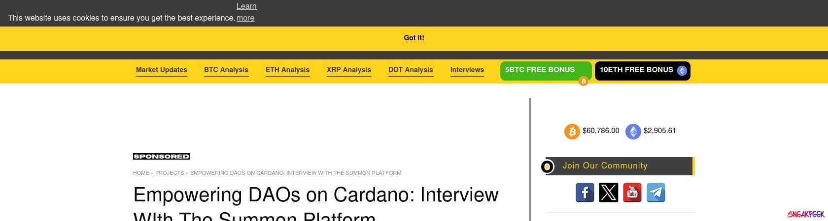 Read the full Article:  ⭲ Empowering DAOs on Cardano: Interview WIth The Summon Platform