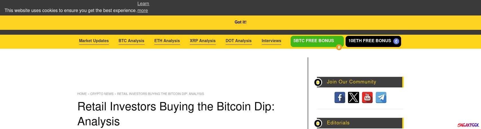 Read the full Article:  ⭲ Retail Investors Buying the Bitcoin Dip: Analysis