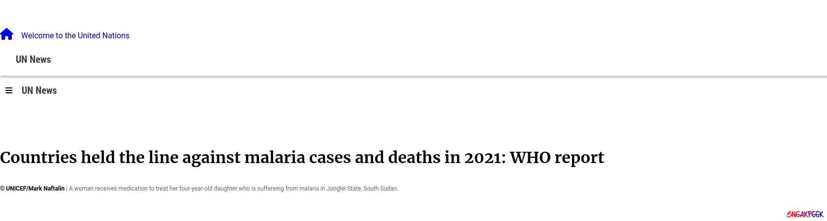 Read the full Article:  ⭲ Countries held the line against malaria cases and deaths in 2021: WHO report  
