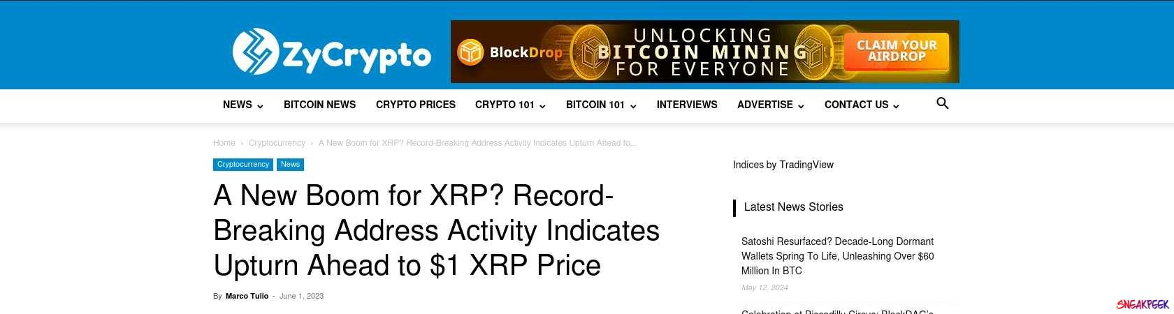 Read the full Article:  ⭲ A New Boom for XRP? Record-Breaking Address Activity Indicates Upturn Ahead to $1 XRP Price