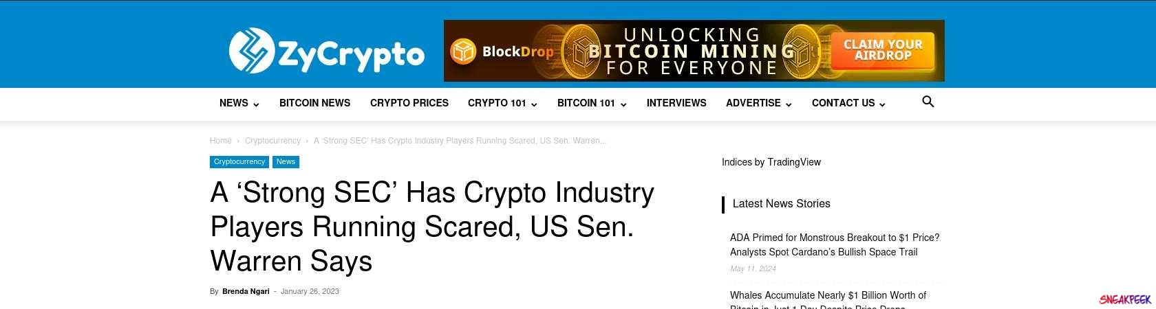 Read the full Article:  ⭲ A ‘Strong SEC’ Has Crypto Industry Players Running Scared, US Sen. Warren Says