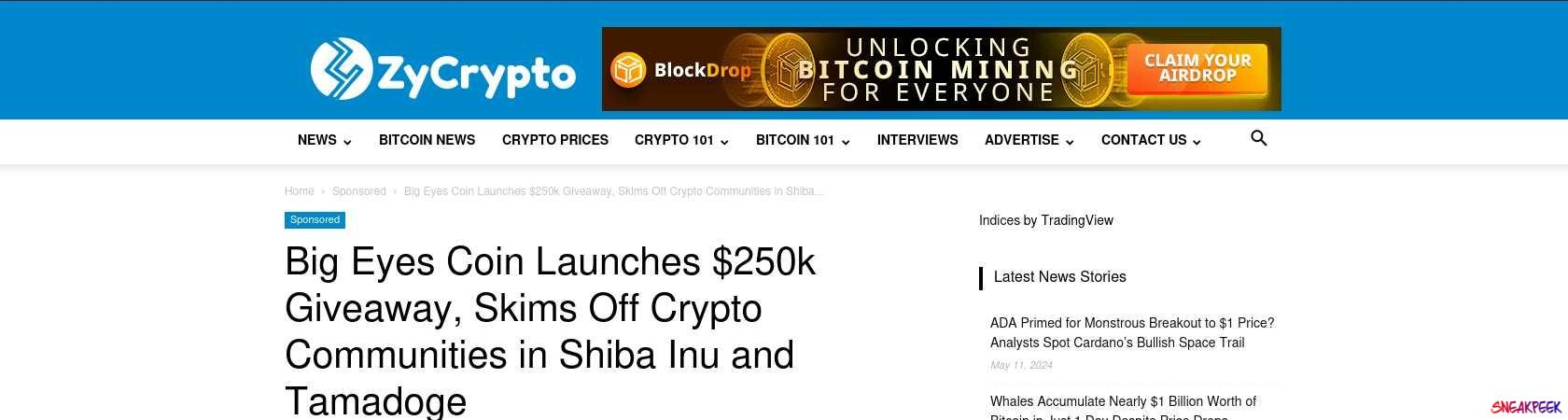 Read the full Article:  ⭲ Big Eyes Coin Launches $250k Giveaway, Skims Off Crypto Communities in Shiba Inu and Tamadoge