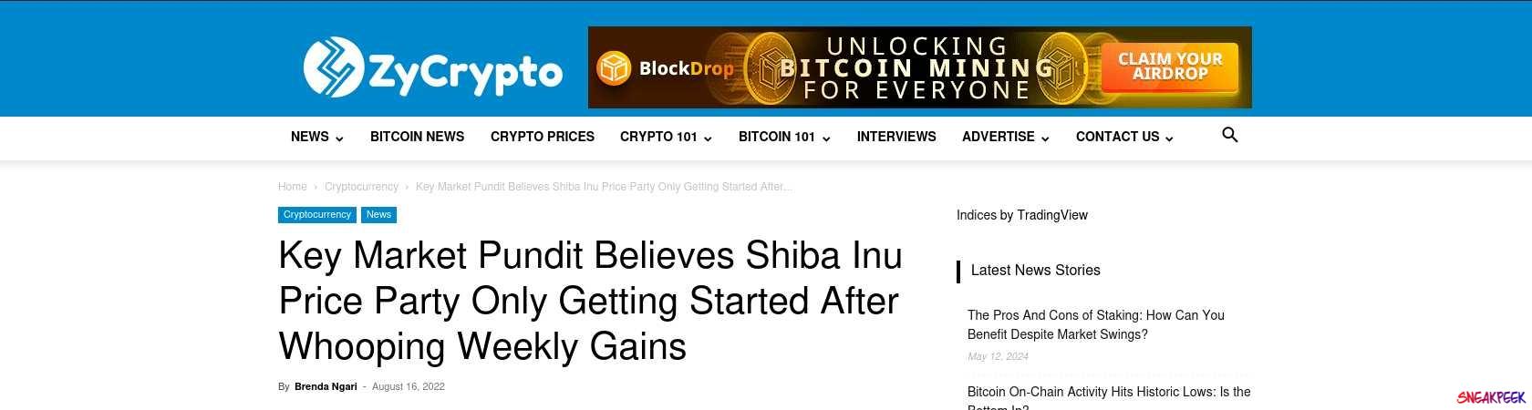 Read the full Article:  ⭲ Key Market Pundit Believes Shiba Inu Price Party Only Getting Started After Whooping Weekly Gains