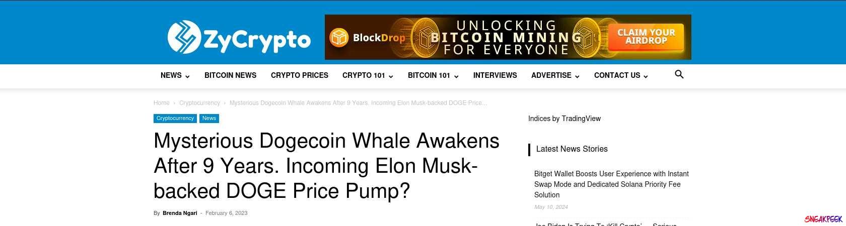 Read the full Article:  ⭲ Mysterious Dogecoin Whale Awakens After 9 Years. Incoming Elon Musk-backed DOGE Price Pump?